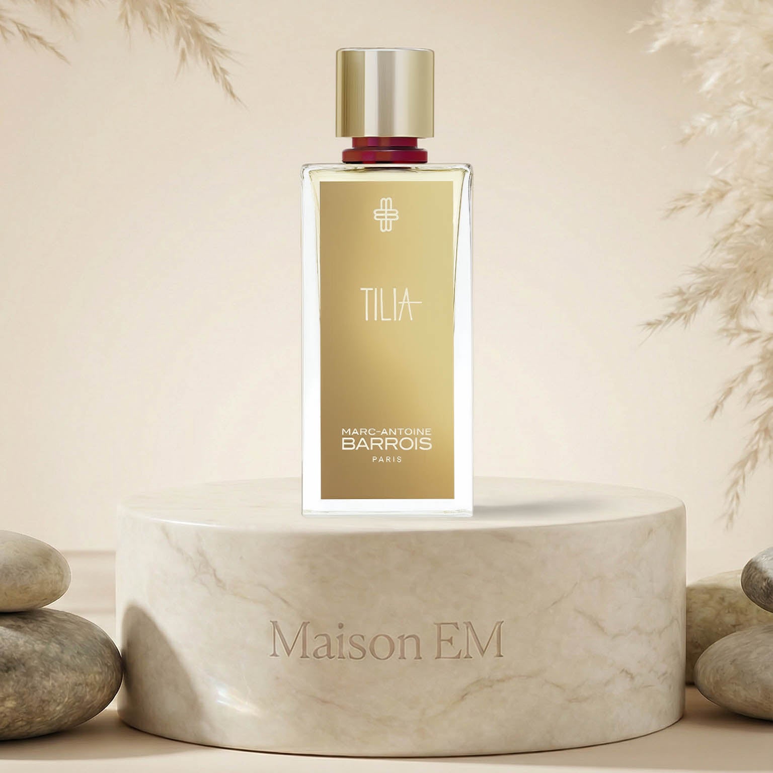 Tilia